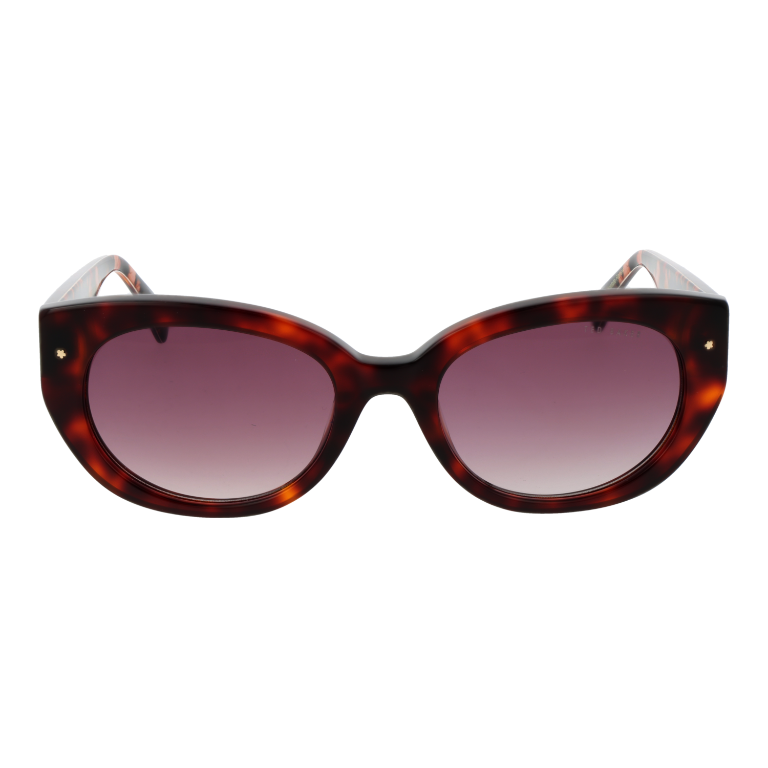 TED BAKER MOD. TB1737 53100 TED BAKER MOD. TB1737 53100